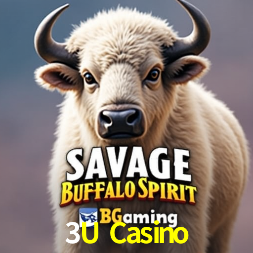 Bonus Features 3U Casino